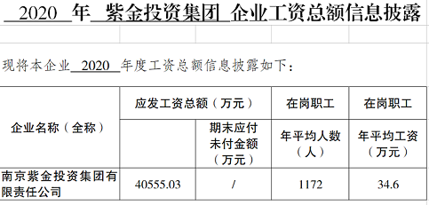 2020年紫金投資集團(tuán)工資總額信息披露（人力確認(rèn)）.png